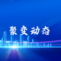 聚变动态