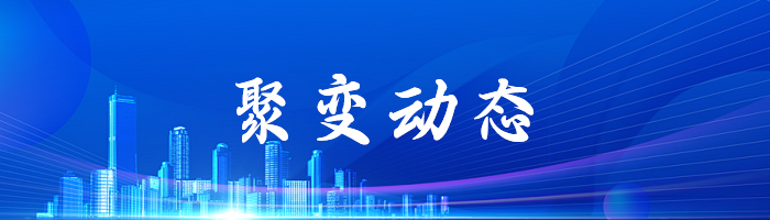 聚变动态